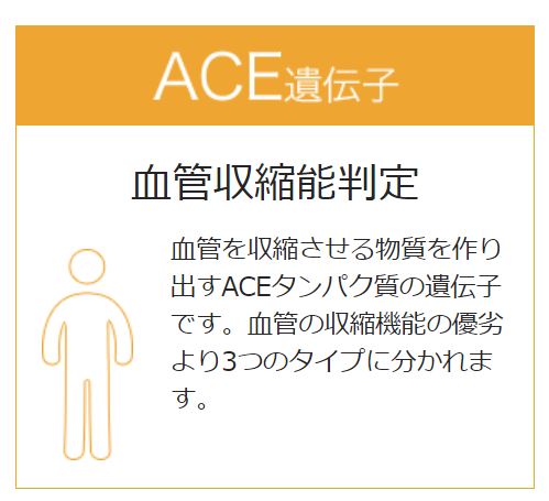 運動能力 運動神経診断はキットで具体的に エクササイズ遺伝子検査をしてみた たこべいブログ