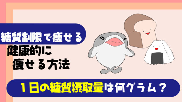 正しく痩せる方法 2回目の糖質制限は痩せない 食べ過ぎから遺伝子まで原因を知ってダイエット たこべいブログ